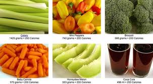 Sinónimos de nutrición adecuada